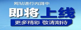网站定制开发